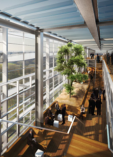 newbuilding-2 (JPG)