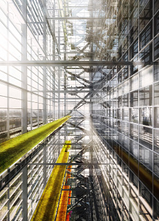newbuilding-3 (JPG)
