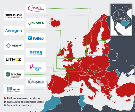 Evidence of the importance of patents for SMEs 3