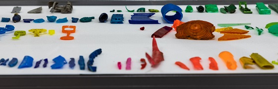 Untitled for Carl von Linné, 2011