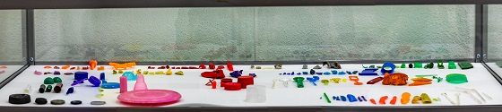 Untitled for Carl von Linné, 2011