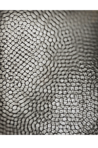 Between 20hz - 30hz (01), 2019, © Feng Chen