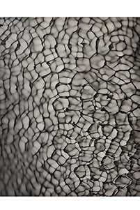 Between 20hz - 30hz (02), 2019, © Feng Chen
