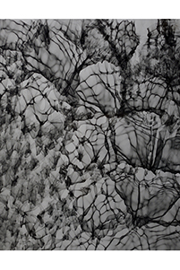 Between 20hz - 30hz (10), 2019, © Feng Chen