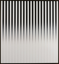 Philippe Decrauzat - Slow Motion (SCEPO), 2011