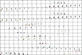 korfmann_white