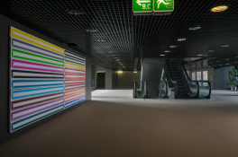 José Loureiro - Luz Máxima, 2012