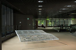 Panamarenko - Magic (Flying) Carpet, 1979