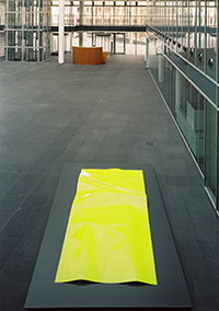 Adrian Schiess - Malerei, 2005