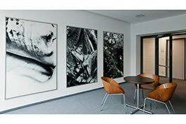 G.Z. X, XII, XIII, 2002, © VG Bild-Kunst, Bonn