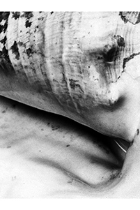 G.Z. X, 2002, © VG Bild-Kunst, Bonn