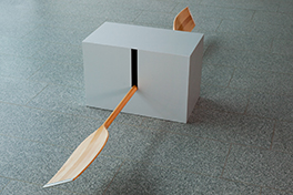 Paddel, 2009, © Roman Signer 