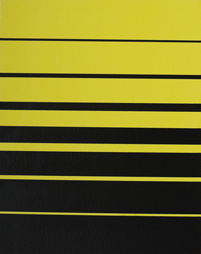Jan van der Ploeg - Strip, 2007 