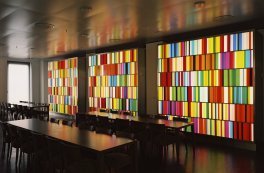 Beat Zoderer - FARBORGEL 2004, 2005